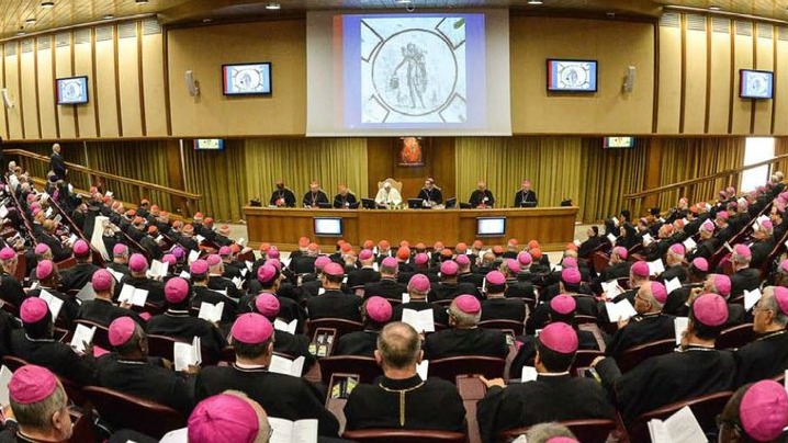 Documentul de lucru al Sinodului Familiilor de la Vatican „distruge legea morală referitoare la familie, la sexualitatea umană și la sfințenia vieții” INTERVIU cu John Smeaton, Societatea pentru Protecția Copiilor Nenăscuți (Marea Britanie)